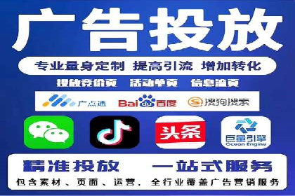 竞价广告的创意与执行：某快消品的营销突破